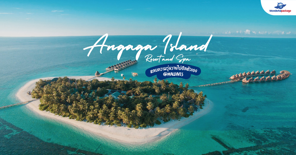 หลบความวุ่นวาย ไปฮีลตัวเอง  Angaga Island Resort and Spa Maldives