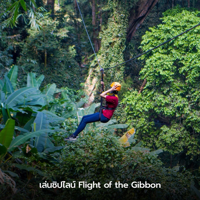 Flight of the Gibbon