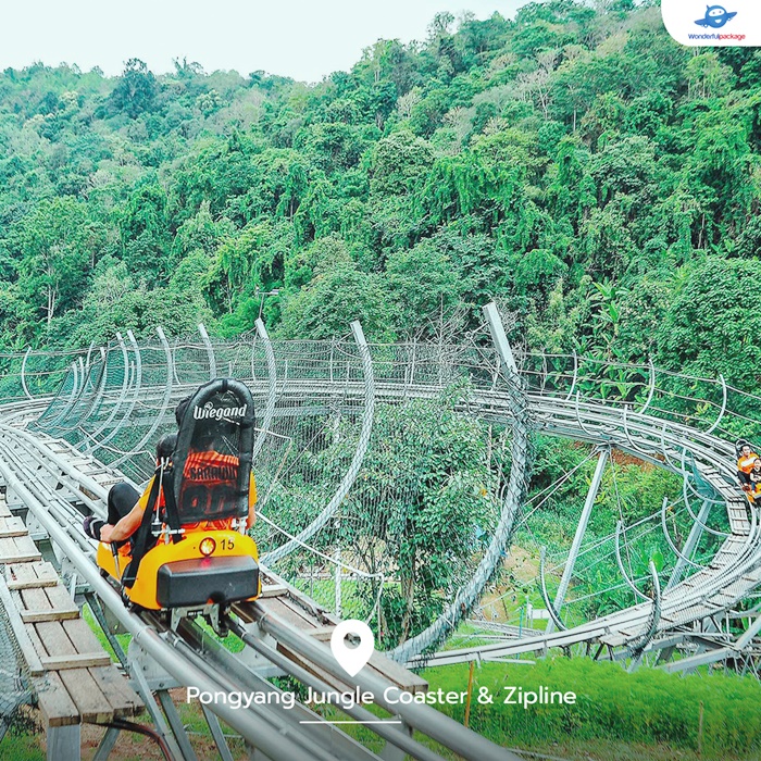 Pongyang Jungle Coaster & Zipline