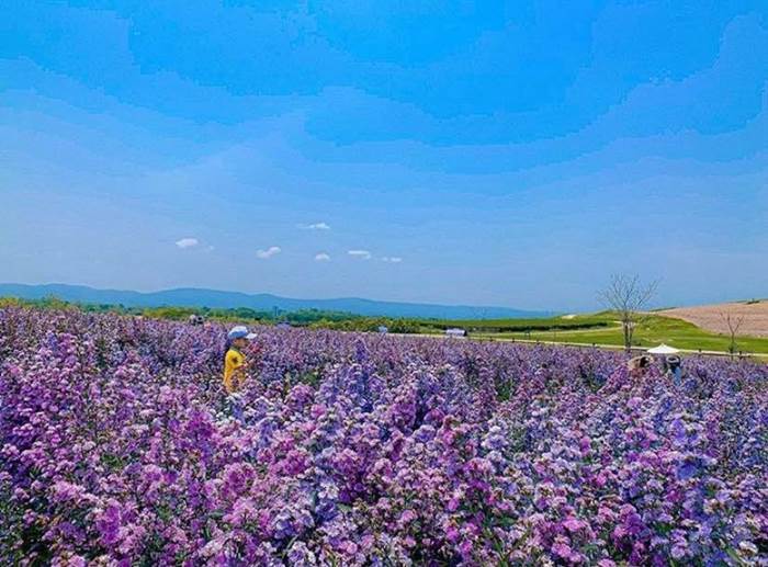 สิงห์ปาร์คเชียงราย (Singha Park Chiang Rai)