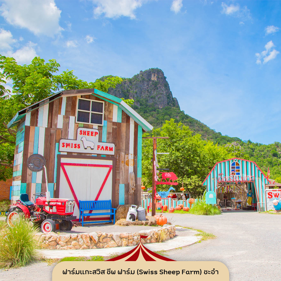 ฟาร์มแกะสวิส ชีพ ฟาร์ม (Swiss Sheep Farm) ชะอำ