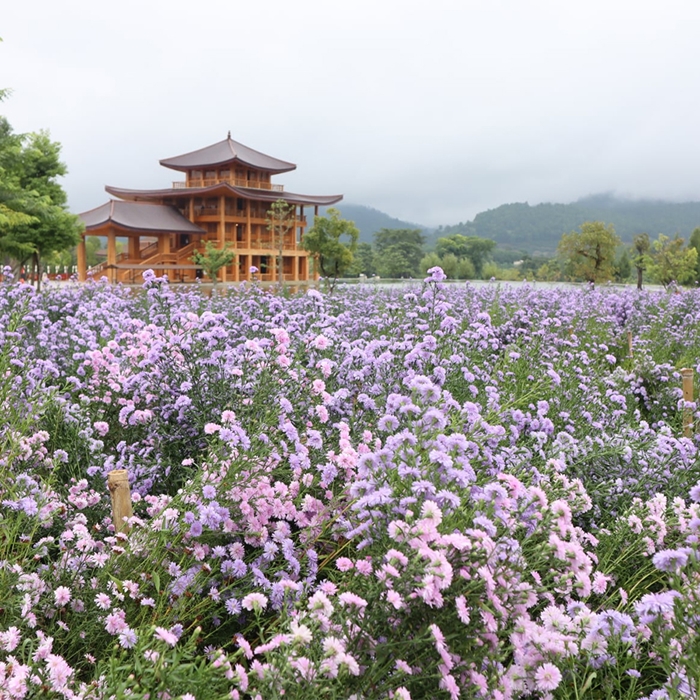 Hinoki Land (ฮิโนกิแลนด์) ยกญี่ปุ่นมาไว้เชียงใหม่