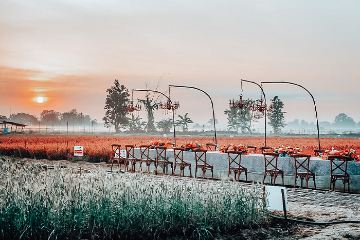 เช็คอินมุมถ่ายรูปสุดหวาน I Love Flower Farm เชียงใหม่