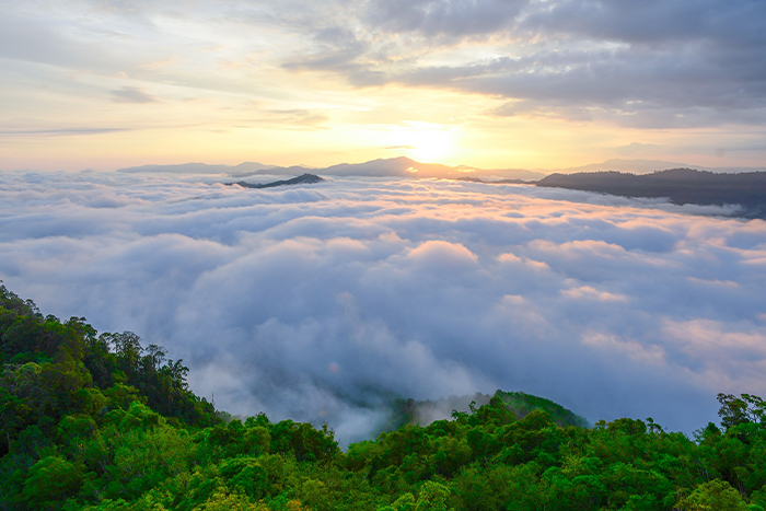 ชมวิวทะเลหมอก ขึ้น Sky walk อัยเยอร์เวง