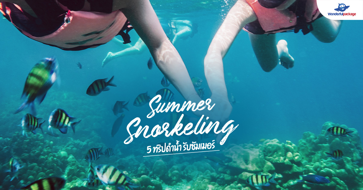 Summer Snorkeling 5 ทริปดำน้ำ รับซัมเมอร์