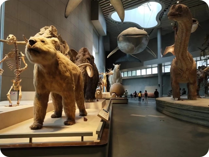 Natural History