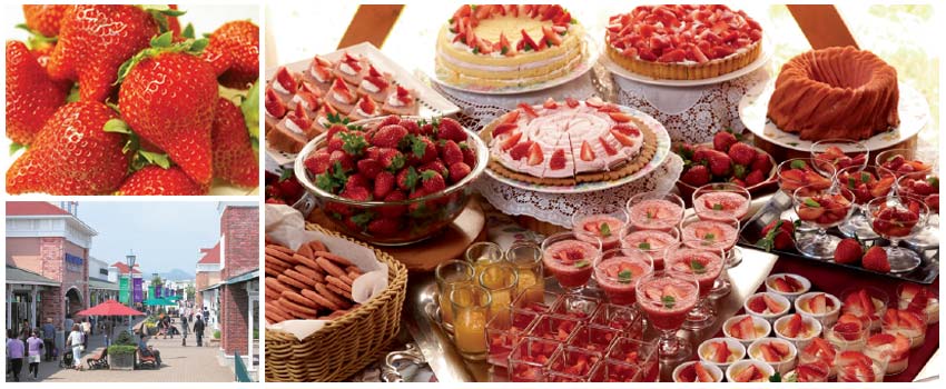 ตั๋วท่องเที่ยว KANTO BUFFET