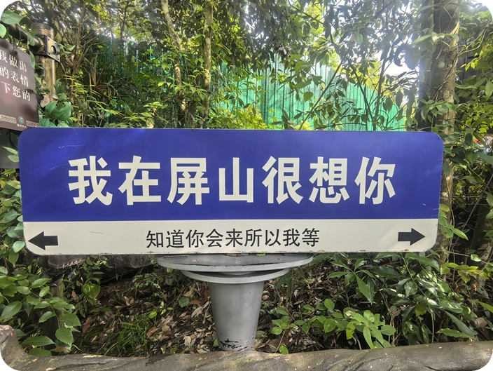 PINGSHAN25
