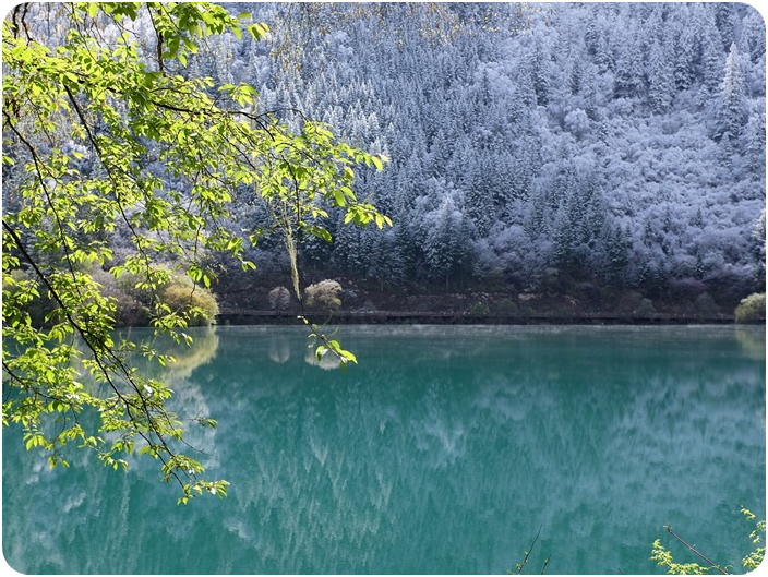 ทะเลสาบแรด (Rhino Lake) จิ่วจ้ายโกว