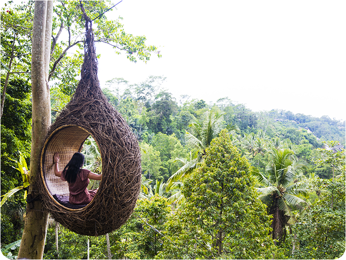 บาหลีสวิง (Bali Swing)