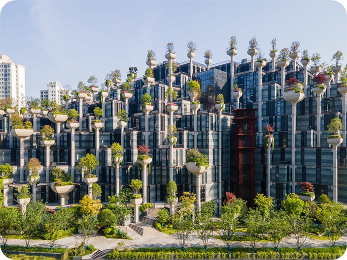 Tian An 1,000 Trees