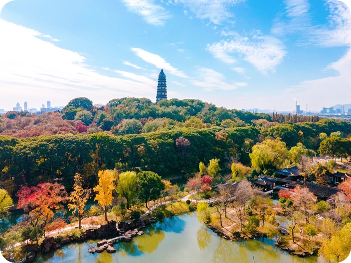 Tiger Hill 