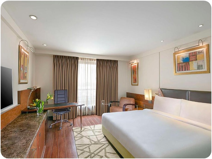 Hotel Radisson