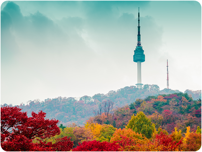 ภูเขานัมซาน (Namsan)