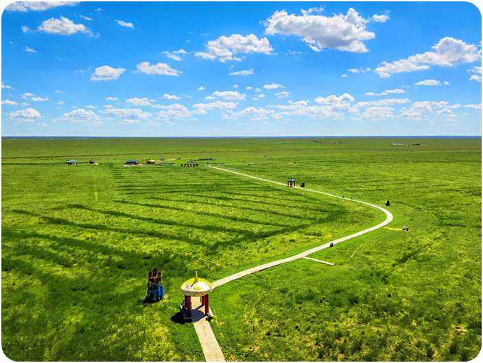 ทุ่งหญ้าออร์ดอส (Ordos Grassland)