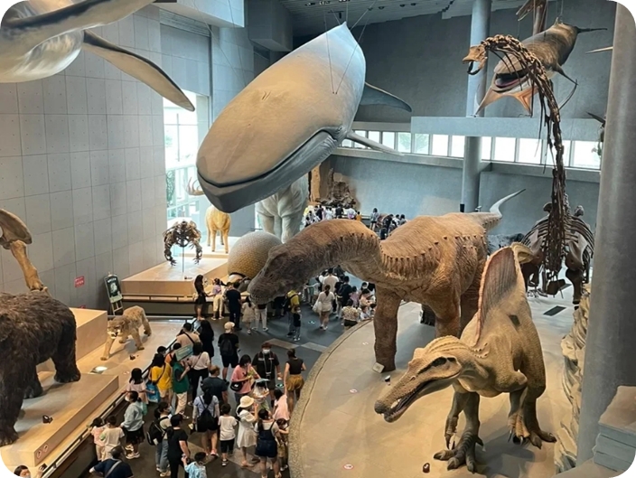 Shanghai Natural History Museum