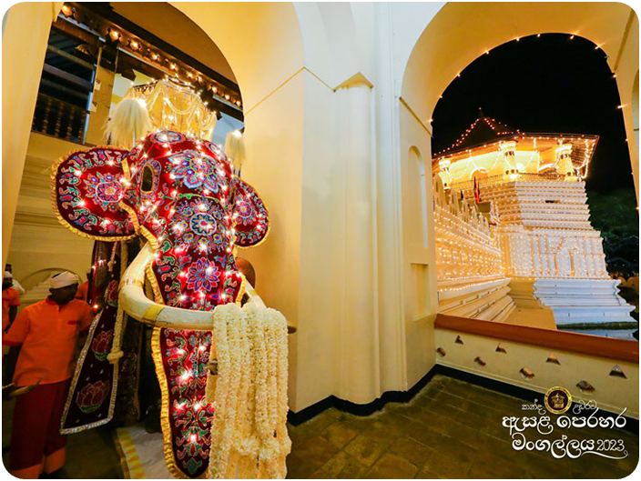 พิธีแห่พระเขี้ยวแก้ว (Esala Perahera)