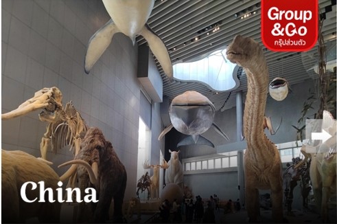 ทัวร์ส่วนตัว Shanghai Disneyland & Natural History Museum 5 วัน 4 วัน