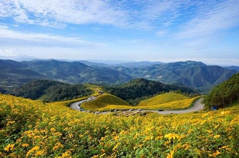 เหลืองอร่าม ทุ่งบัวตอง เที่ยวแม่ฮ่องสอน ปาย 3 วัน 2 คืน