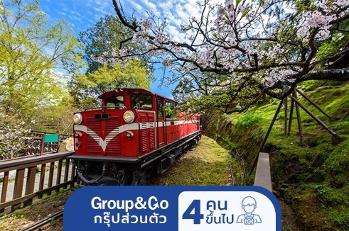 ทัวร์ครอบครัวส่วนตัว นั่งรถไฟชมอุทยานอาลีซาน สัมผัสความงามทะเลสาบสุริยันจันทรา 4 วัน 3 คืน (ไม่รวมตั๋วเครื่องบิน)