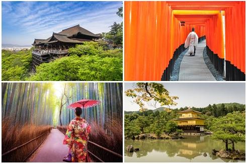 [1 Day Bus Tour] Kyoto Highlights! เที่ยวศาลเจ้าฟูชิมิอินาริ วัดคิโยมิสึเดระ วัดคินคะคุจิ และสวนป่าไผ่อาราชิยาม่า