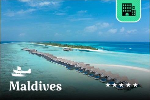 แพ็คเกจห้องพักมัลดีฟส์ Lux South Ari Atoll(ลักซ์ เซาท์ อะริ อะทอล) ★★★★★