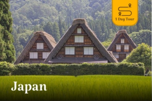 ONE DAY TOUR นาโกย่า | เยือนหมู่บ้านมรดกโลกชิราคาวาโกะ & สัมผัสกลิ่นอายเมืองเก่าทาคายาม่า