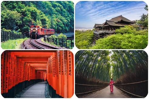 [1 Day Bus Tour] Sagano Romantic Train & Kyoto นั่งรถไฟสายโรแมนติกซากาโนะ เที่ยวศาลเจ้าฟูชิมิอินาริ อาราชิยาม่า วัดคิโยมิสึเดระ 