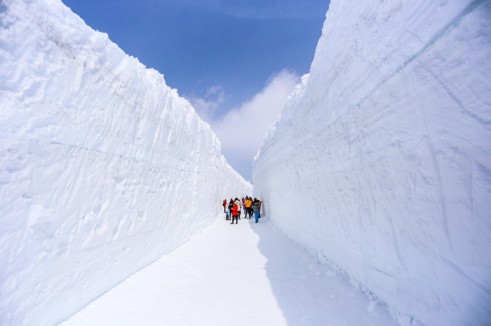 KNT64300- ท่องเที่ยวในเส้นทางแอลป์ ทาเตยามะ-คุโรเบะ ชมกำแพงหิมะ 1 วัน