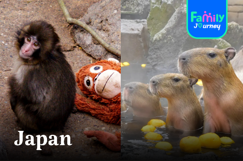 [Family] พาครอบครัวเที่ยวญี่ปุ่น โตเกียว – อิซุ | ดูพันช์คุง ลูกลิงหิมะ & คาบิบาร่าแช่ออนเซ็น