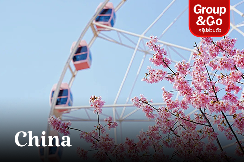 ทัวร์ส่วนตัว ชมเทศกาลดอกซากุระ เช็คอินจุดไฮไลท์เซี่ยงไฮ้ 4 วัน 3 คืน