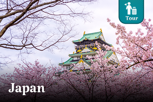 ทัวร์ญี่ปุ่น โตเกียว โอซาก้า SAKURA BLOSSOM 6 วัน 4 คืน