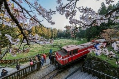 ทัวร์ไต้หวัน ดื่มด่ำความสวยงามของธรรมชาติ อุทยานอาลีซาน ล่องเรือทะเลสาบสุริยันจันทรา 4 วัน 3 คืน