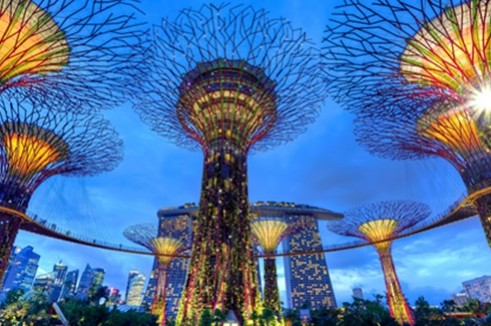 Refreshing SINGAPORE 3 วัน 2 คืน โดยสายการบินไทเกอร์แอร์