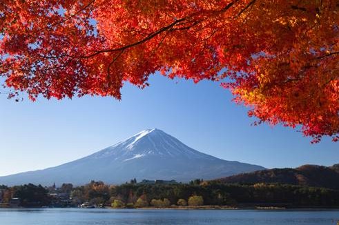 ทัวร์ญี่ปุ่น Autumn โตเกียว ฟูจิ 5 วัน 3 คืน