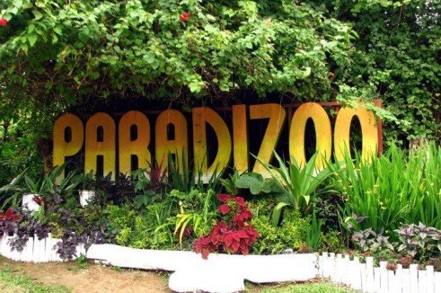 บัตรเข้าสวนสัตว์พาราดิสซู (Paradizoo) ในทาเกเทย์